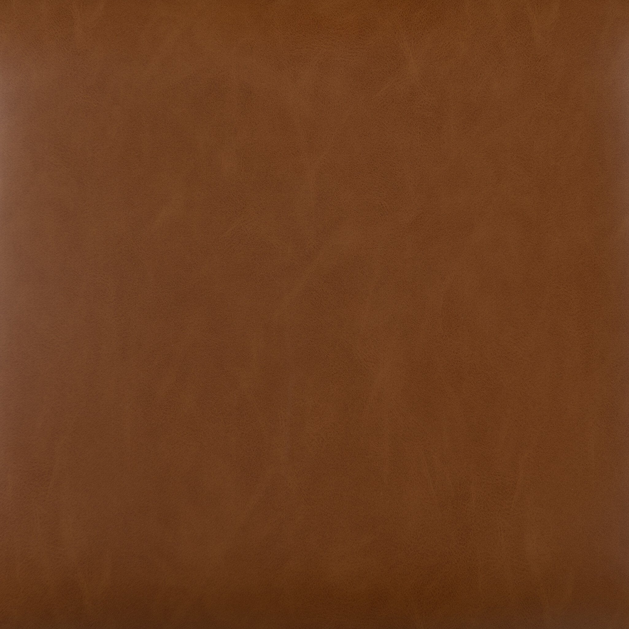 Dalton Leather and Cane Dining Chair